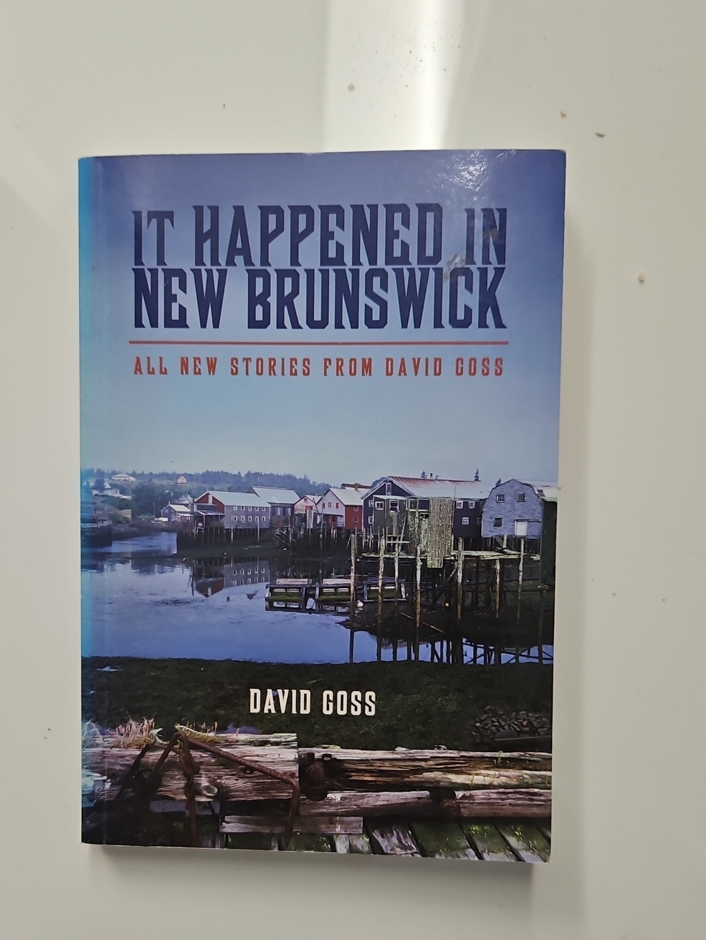 "It Happened in New Brunswick" By David Goss Paperback
